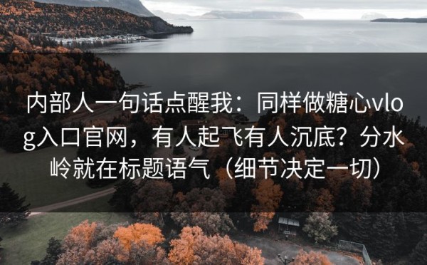 内部人一句话点醒我：同样做糖心vlog入口官网，有人起飞有人沉底？分水岭就在标题语气（细节决定一切）