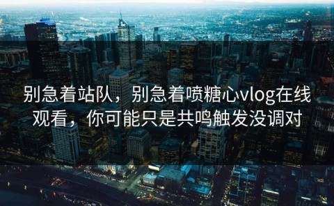 别急着站队，别急着喷糖心vlog在线观看，你可能只是共鸣触发没调对