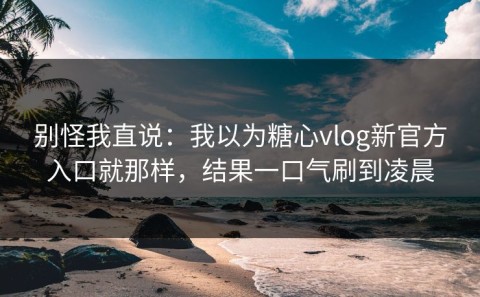 别怪我直说：我以为糖心vlog新官方入口就那样，结果一口气刷到凌晨