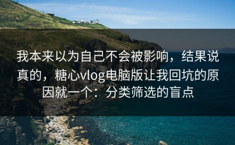 我本来以为自己不会被影响，结果说真的，糖心vlog电脑版让我回坑的原因就一个：分类筛选的盲点