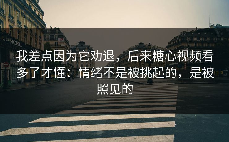 我差点因为它劝退，后来糖心视频看多了才懂：情绪不是被挑起的，是被照见的