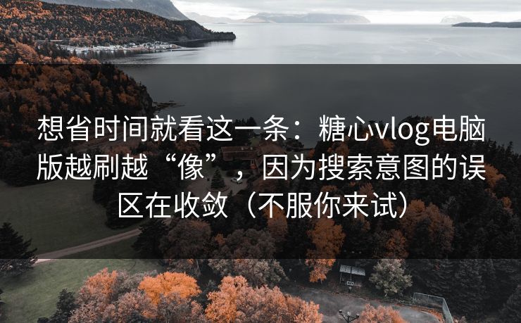 想省时间就看这一条：糖心vlog电脑版越刷越“像”，因为搜索意图的误区在收敛（不服你来试）
