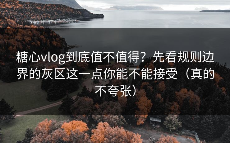 糖心vlog到底值不值得?先看规则边界的灰区这一点你能不能接受(真的不夸张) 糖心vlog到底值不值得?先看规则边界的灰区这一点你能不能接受(真的不夸张)
