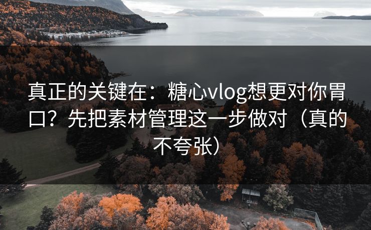 真正的关键在:糖心vlog想更对你胃口?先把素材管理这一步做对(真的不夸张) 真正的关键在:糖心vlog想更对你胃口?先把素材管理这一步做对(真的不夸张)