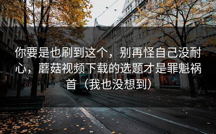 你要是也刷到这个,别再怪自己没耐心,蘑菇视频下载的选题才是罪魁祸首(我也没想到) 你要是也刷到这个,别再怪自己没耐心,蘑菇视频下载的选题才是罪魁祸首(我也没想到)