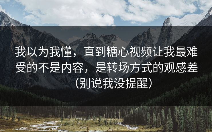 我以为我懂，直到糖心视频让我最难受的不是内容，是转场方式的观感差（别说我没提醒）